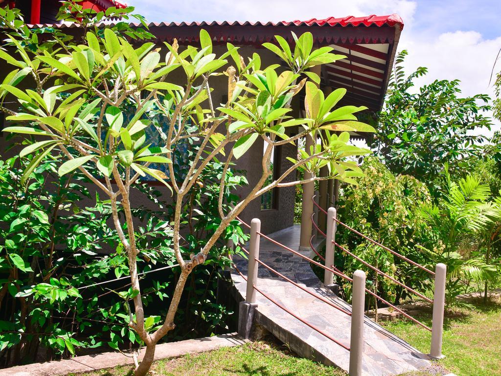 Mass Eco Cabana Yoga & Spa - Unawatuna Bed & Breakfast Exterior photo