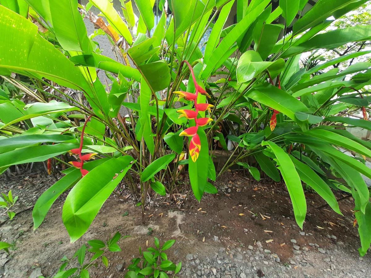 Mass Eco Cabana Yoga & Spa - Unawatuna Exterior photo